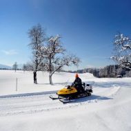 Skidoofahrer Winter
