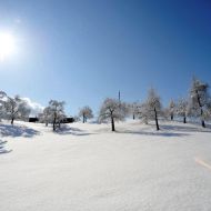 Verschneite Landschaft1