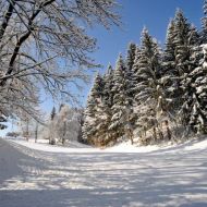 Verschneite Landschaft