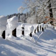Verschneite Landschaft Mit Zaun Winter1
