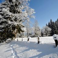 Verschneite Landschaft Mit Zaun Winter