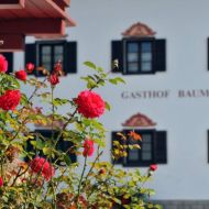 Gasthof Baumgarten Osl Baumgarten 22 Angerberg Sommer Header